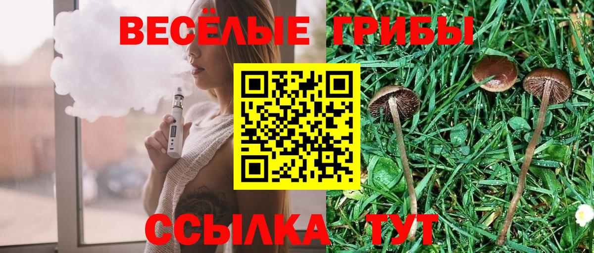Галлюциногенные грибы ЛСД  Вход с VPN  Шахты 